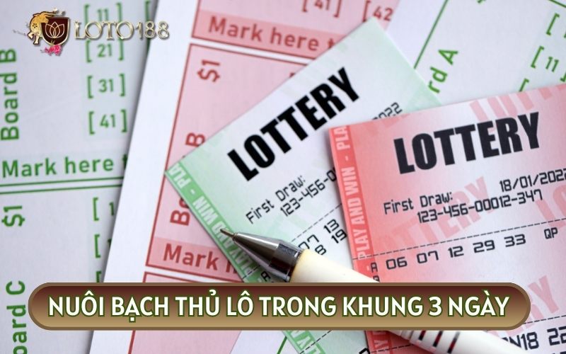 Khung 3 ngày khá ngắn cho nên bạn cần có các chiến thuật cụ thể