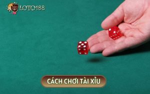 Cách Chơi Tài Xỉu “Hốt Bạc” Nhà Cái Chỉ Trong Chớp Nhoáng