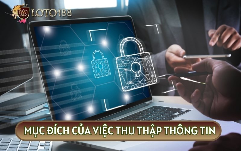 Các mục đích chính của việc thu thập thông tin người dùng