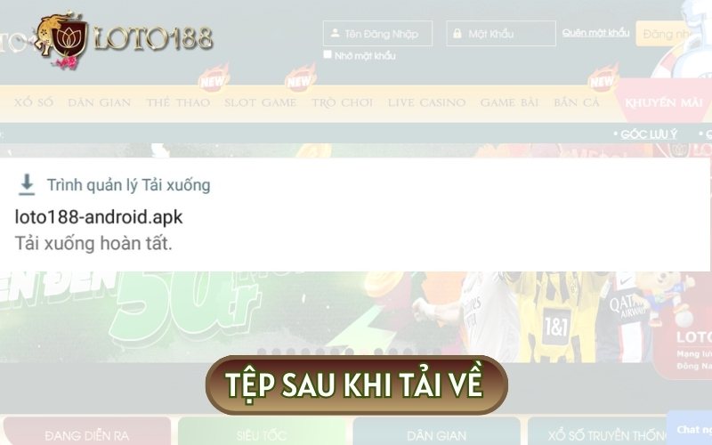 Tệp sau khi đã tải về